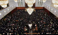 אדמו"רים: אל תדחפו סביבנו; שפיכות דמים 