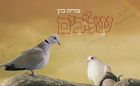 לנשים בלבד: צורית כהן עם פרוייקט שילובים