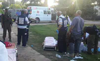 רקטות פיגועים ולידות - מד"א מסכם את צוק איתן
