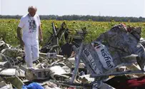 Первые выводы о падении «Боинга» на Украине