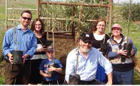 Turning Hamas Rockets into Fruit Trees