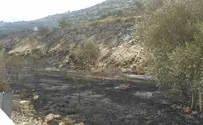 כיבוי האש: השריפה בדולב - הצתה