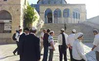מטה תנועות המקדש: עלייה המונית להר