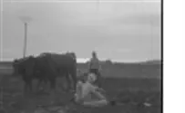 Hidden in a 74-Year-Old Newsreel of Palestine - Exciting Photos