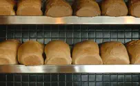 מחירי הלחם והמלח עולים