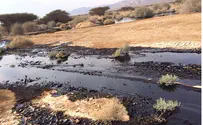Dep. Min. Akunis: We 'Have Control' Over Oil Spill Mess