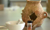עדות קדומה: שרידי שמן זית נחשפו בגליל