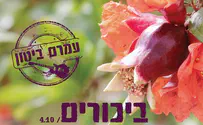 עמרם ביטון בסינגל נוסף ושמח - "ביכורים"