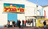 צילום: פלאש 90 ביה"ד לעבודה: לפתוח את מפעל פרי הגליל