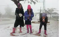 Photos and Videos: Northern Israel Snowbound