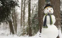 Saudi Religious Scholar Issues Fatwa against Snowmen