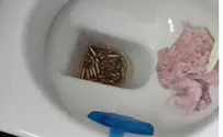 Arab Suspect's Unusual Toilet Clogging - 300 Bullets