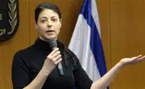 כנר על הגדר          