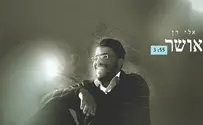 אלי-דן מגלה את המתכון לאושר בסינגל שני