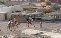 Egyptian Airstrikes Kill Dozens of Terrorists in Sinai