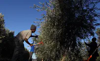 הפרקליטות: להחמיר עונש מעליב קצינים דרוזים