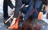 Теракт в Харькове. Есть погибшие Видео взрыва