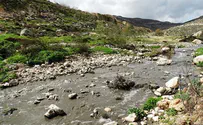 עתירה נגד שר הביטחון: מנע הפגיעה בנחל