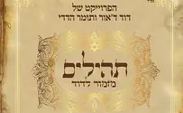 פרוייקט שירת רבים 3: תהילים - מזמור לדוד