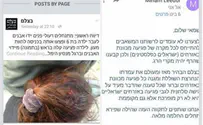 «Бецелем» осуждает только нападения на арабов?