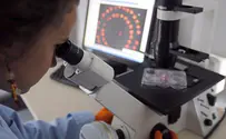 הישג ישראלי: חומר עמיד נגד מזהמים בבתי חולים