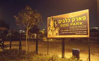 'פארק לכלבים כן, בית ספר לדתיים לא?'