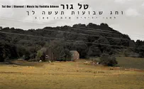 טל גור מגיש: וחג שבועות תעשה לך