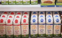 The Dairy Industry: Fewer Farms, but More Milk