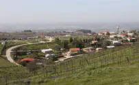 ילדי משפחת דביר מצפים לשובו של אבא