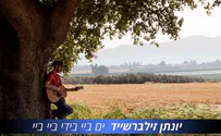 יונתן זילברשייד מזמר: ים ביי בידי ביי ביי 
