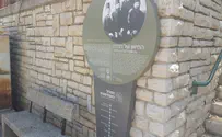 טיול: מסלול האקליפטוס בעיר הירוקה