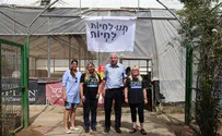 חוק צער בעלי חיים - אריאל יצא לשטח