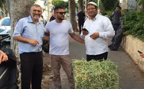 "חבל שקוטלר עזב, החציר היה בשבילו"