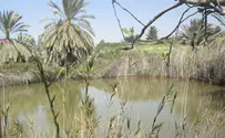 את הצפון כבר חרשנו                          