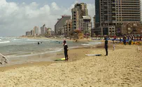פברואר השנה: חם במיוחד