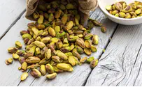 World Not Going Nuts for Syrian Pistachios