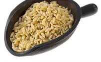 Thinkstock Mushroom and Onion Orzo