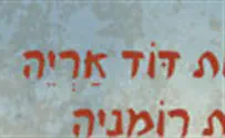 סידרת הרפתקאות דוד אריה