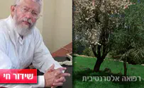 שו"ת עם ד"ר אילן זמיר - וידאו