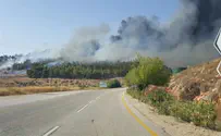 הושגה שליטה על השריפה סמוך לאלון מורה