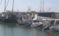 Watch: Saving the Dwindling Mediterranean Fish Population