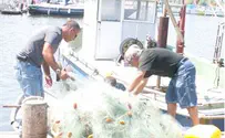 בקרוב: תקנות לפיקוח על דגים שמקורם דיג ימי