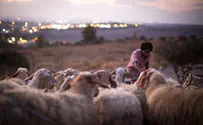 Watch: Young Jewish Entrepreneurs Connect to their Heritage