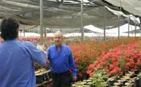 מישהו יודע כמה זה עולה לנו? - דעה