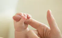 5775: How Many Were Born and What Are the Most Common Names?