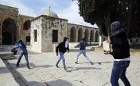 'Illegal' Muslim Temple Mount Agitator Groups - Have Returned