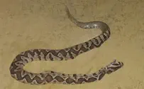 ילד הוכש בגן משחקים, מצבו בינוני