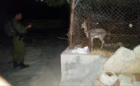 מבצע צבאי משולב לחילוץ צבאים מכפר פלשתיני