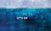 גידי הישן-ביקורת דיסק