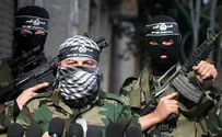Abbas's Fatah Declares a Return to Terror Against Israel